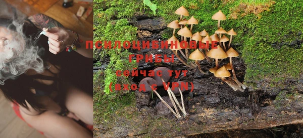 кокс Новозыбков