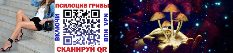 Галлюциногенные грибы Psilocybe  где продают наркотики  Кирсанов 